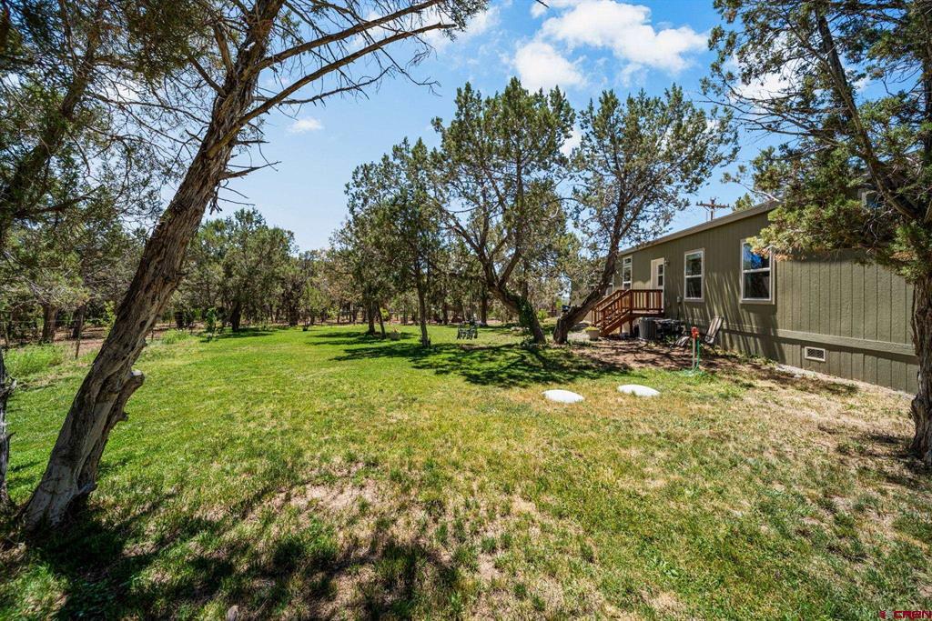 2943 Highway 151 Property Photo 22