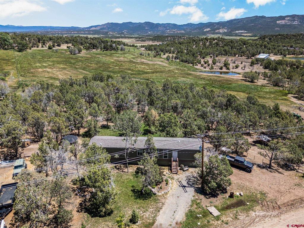 2943 Highway 151 Property Photo 27
