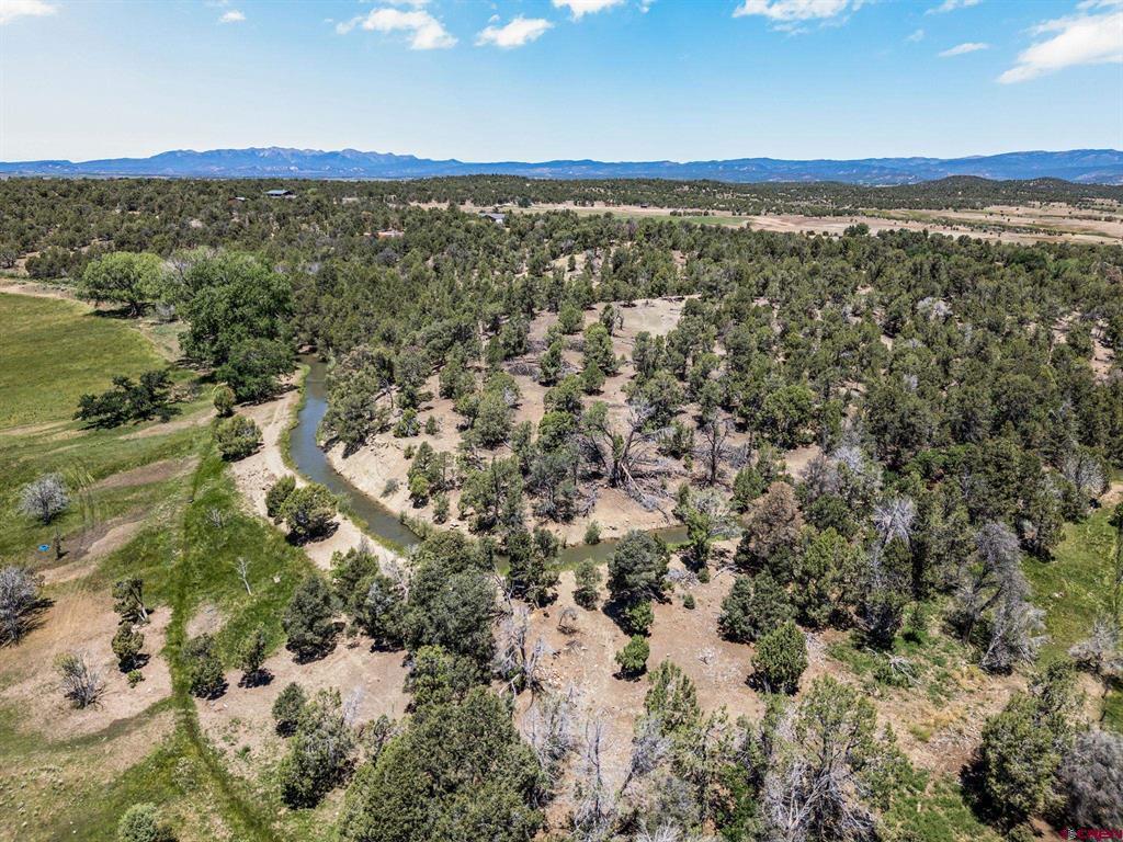 2943 Highway 151 Property Photo 37