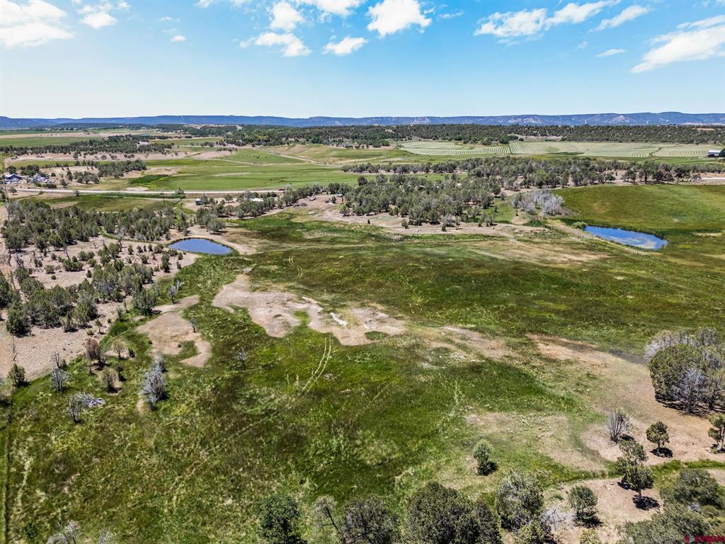 2943 Highway 151 Property Photo 38