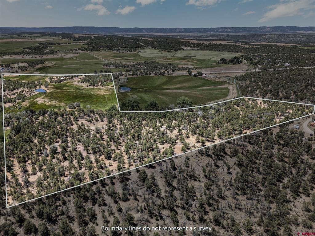 2943 Highway 151 Property Photo 24