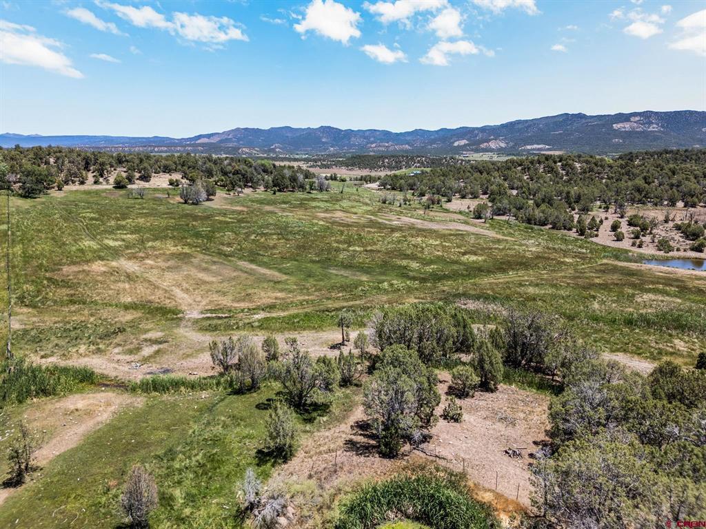 2943 Highway 151 Property Photo 36