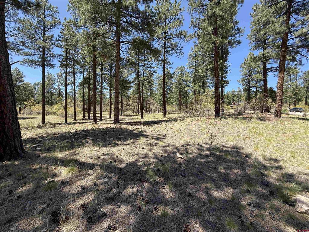 Tbd Ventana Pass Property Photo 1