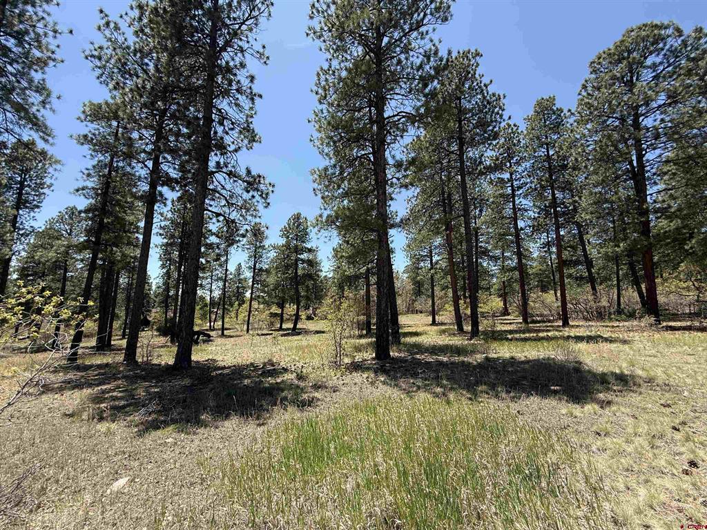 Tbd Ventana Pass Property Photo 2