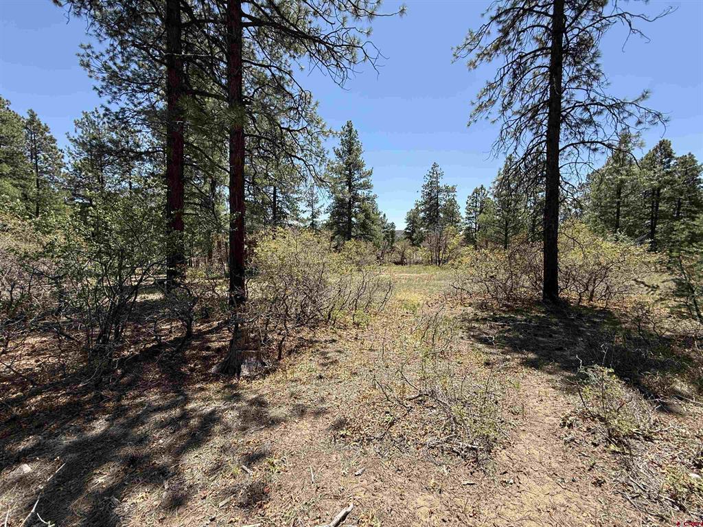 Tbd Ventana Pass Property Photo 3