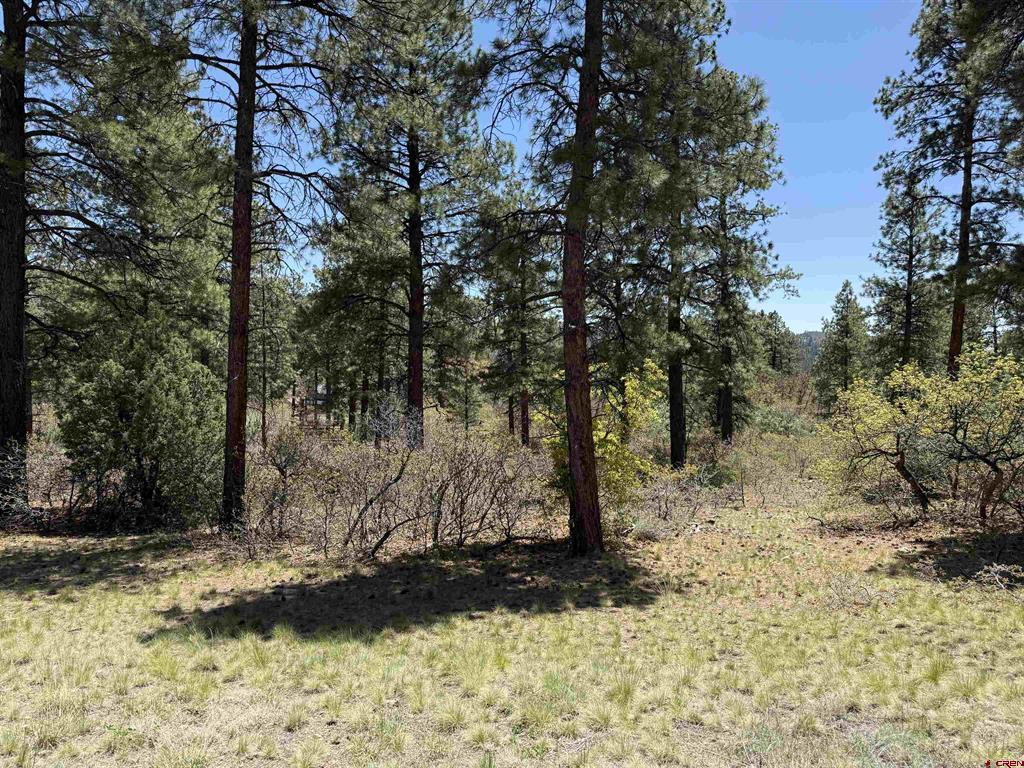 Tbd Ventana Pass Property Photo 4