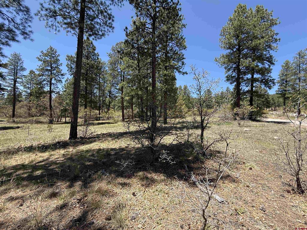 Tbd Ventana Pass Property Photo 5