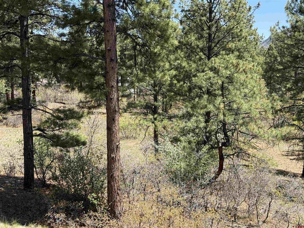 Tbd Ventana Pass Property Photo 6