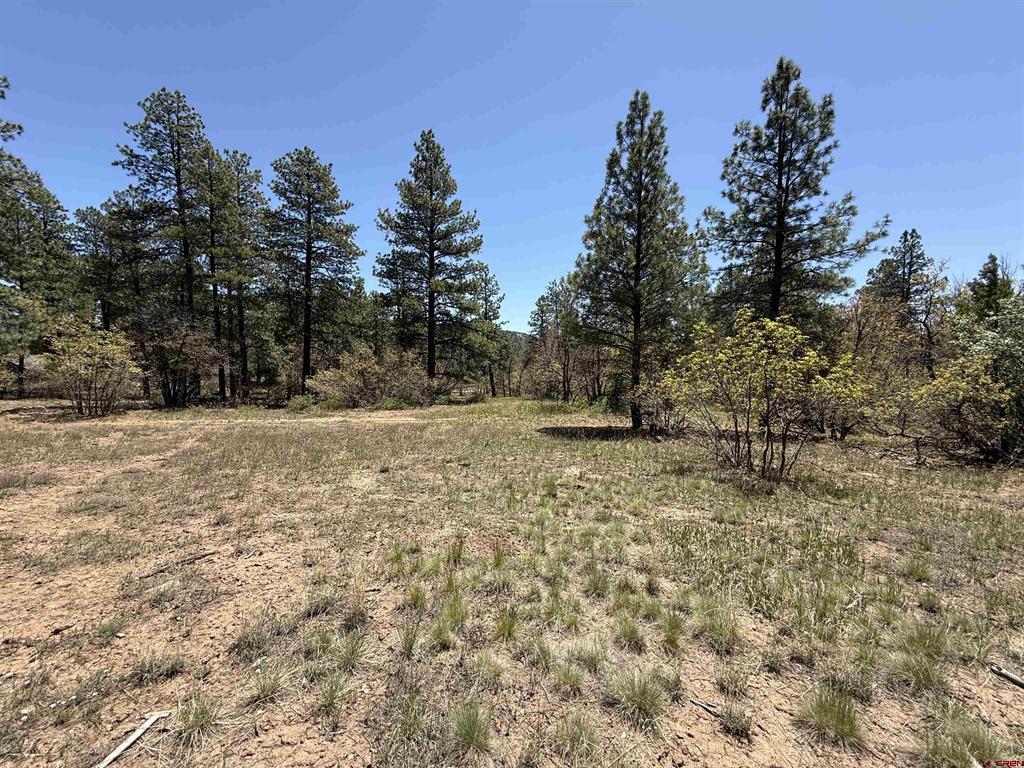 Tbd Ventana Pass Property Photo 7