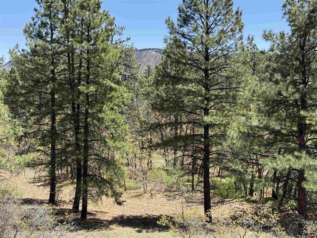Tbd Ventana Pass Property Photo 1