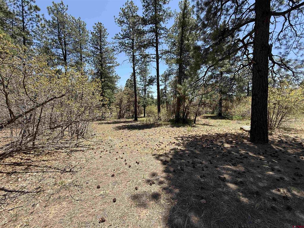 Tbd Ventana Pass Property Photo 2