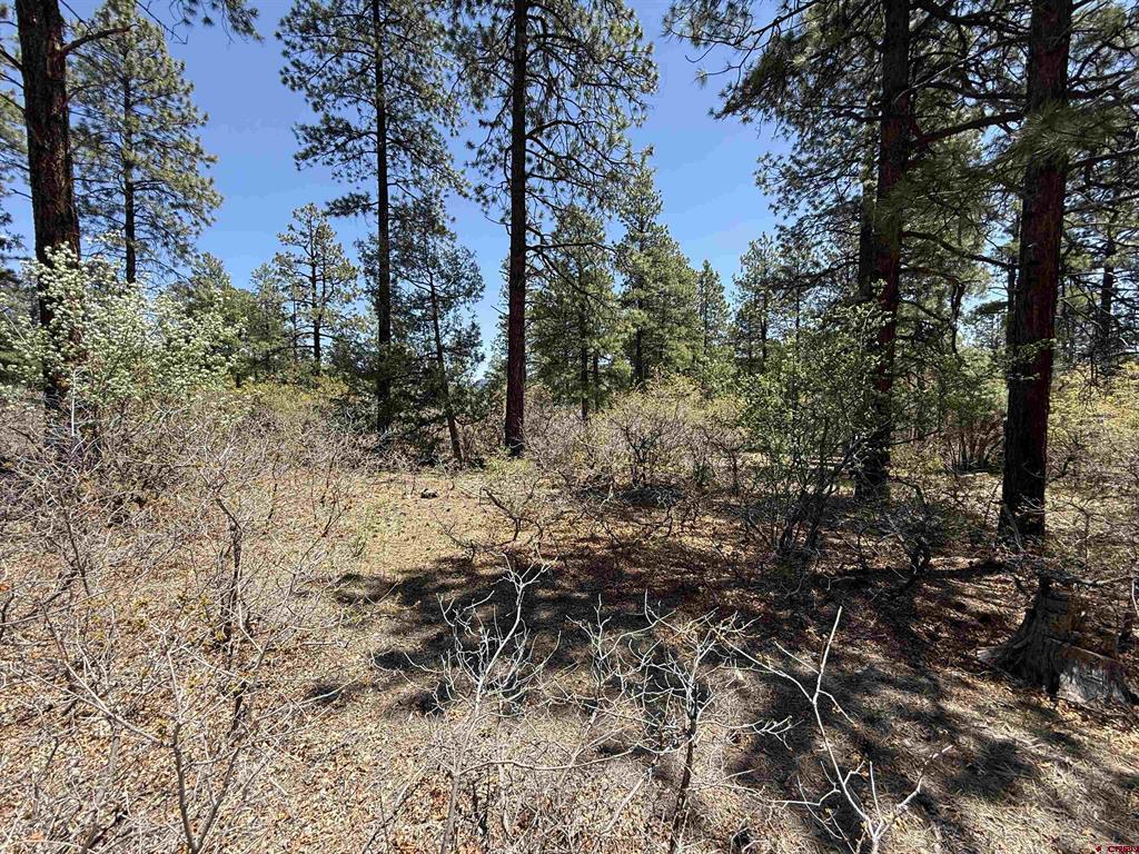 Tbd Ventana Pass Property Photo 3