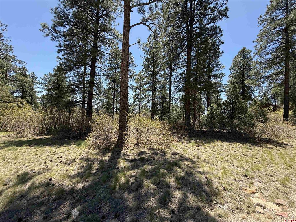 Tbd Ventana Pass Property Photo 4