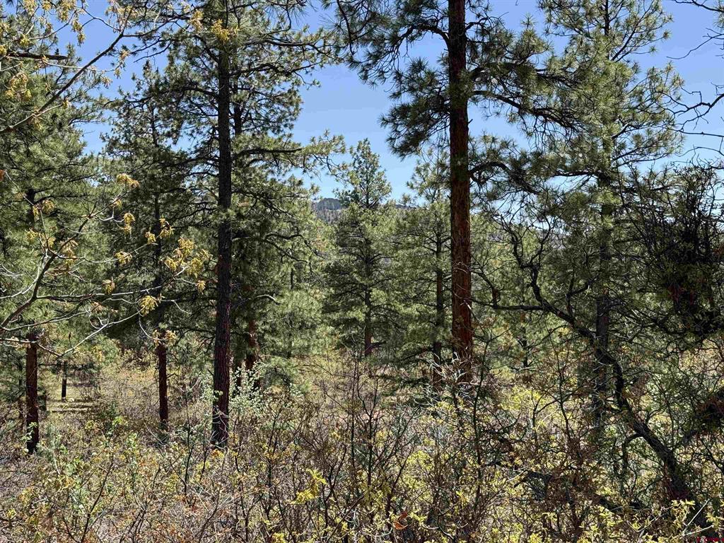 Tbd Ventana Pass Property Photo 5