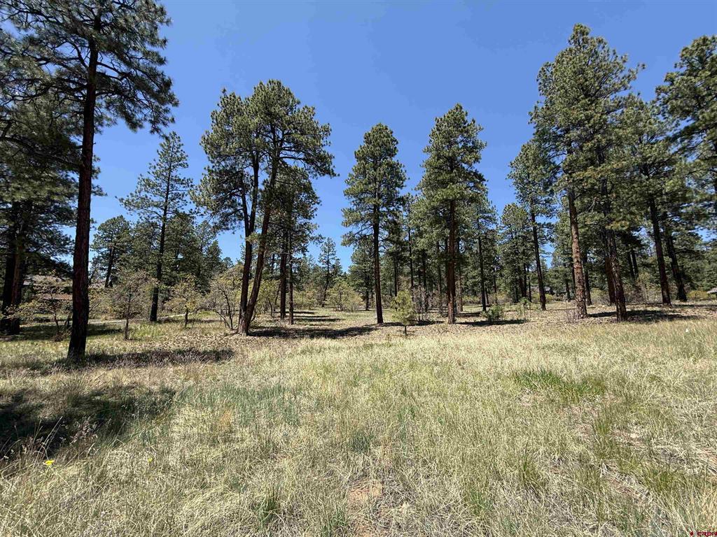 Tbd Ventana Pass Property Photo 6