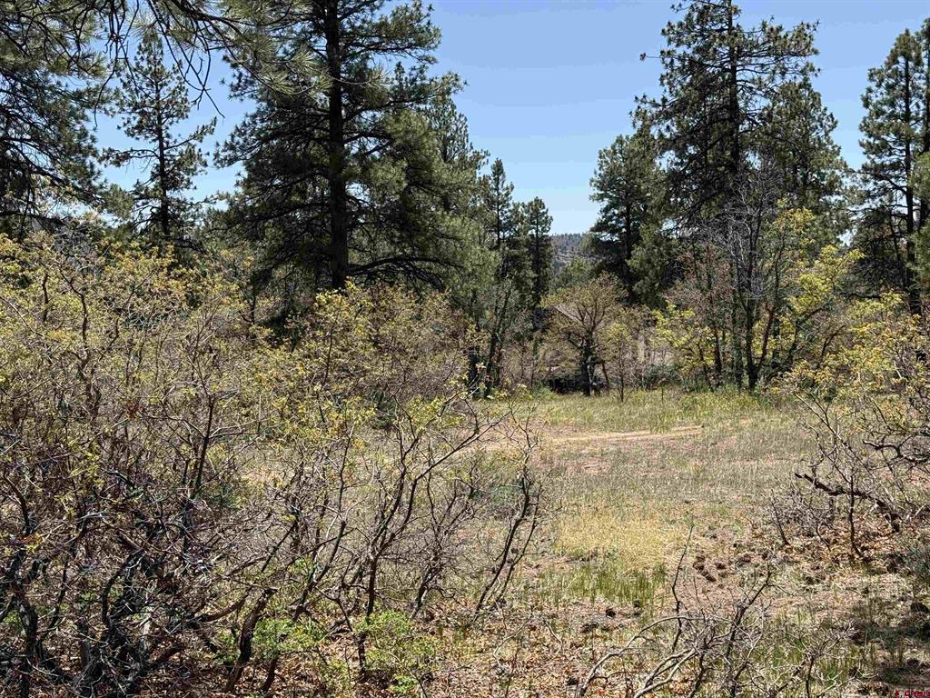 Tbd Ventana Pass Property Photo 7