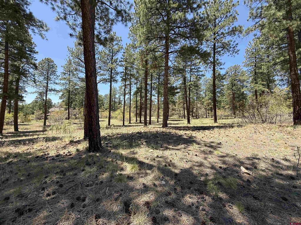 Tbd Ventana Pass Property Photo 8