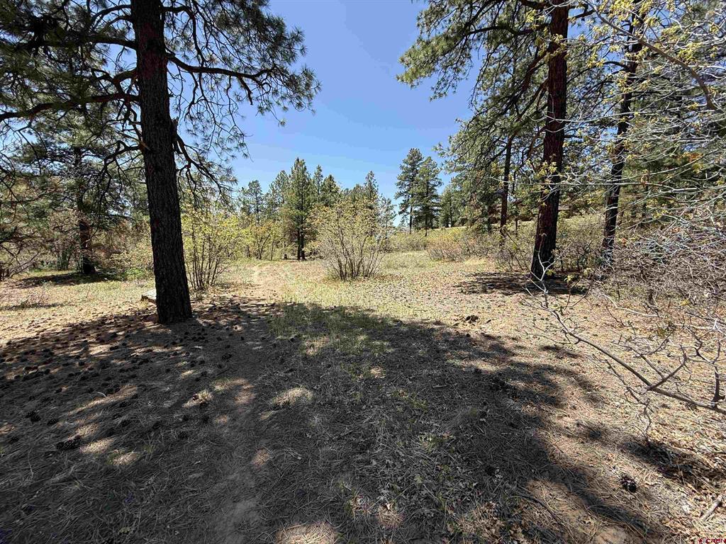 Tbd Ventana Pass Property Photo 10