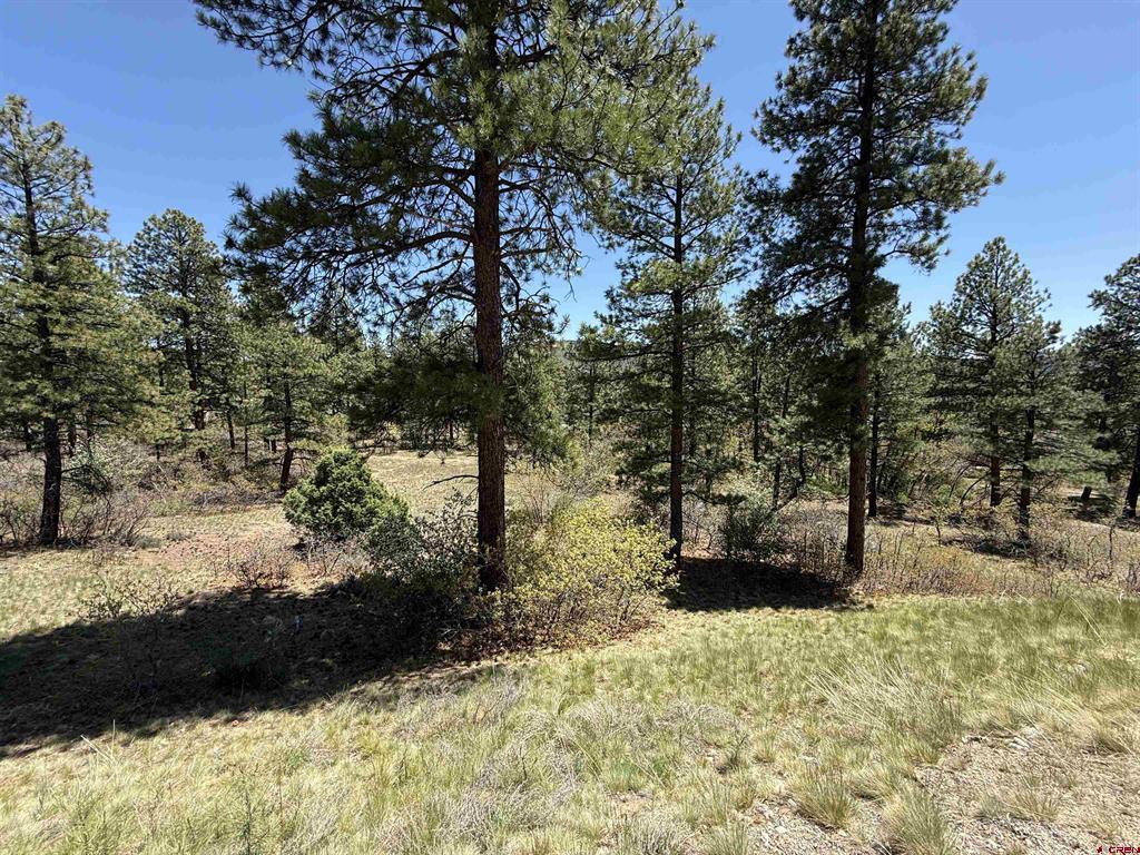 Tbd Ventana Pass Property Photo 11