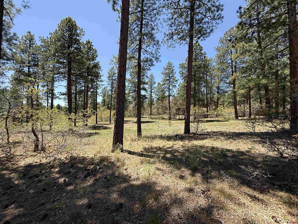 Tbd Ventana Pass Property Photo 12