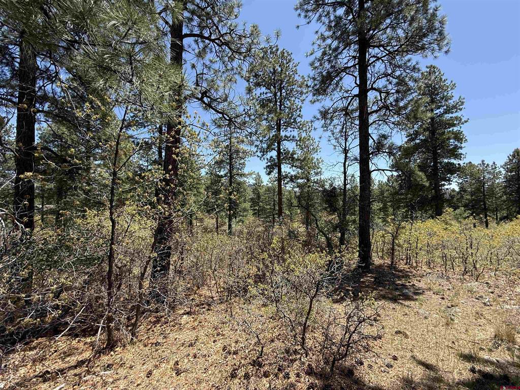 Tbd Ventana Pass Property Photo 13