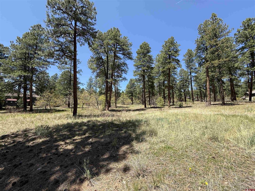 Tbd Ventana Pass Property Photo 14