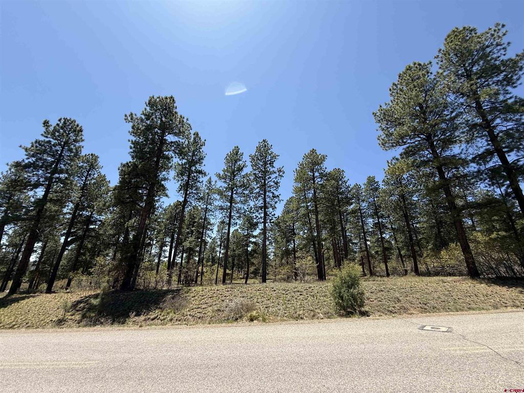 Tbd Edgemont Highlands Drive Property Photo 1