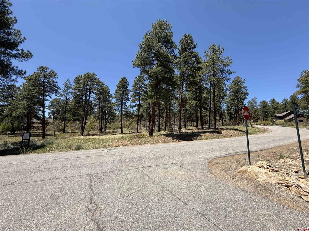 Tbd Edgemont Highlands Drive Property Photo 2