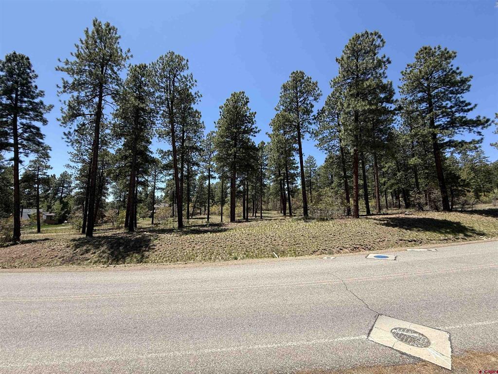 Tbd Edgemont Highlands Drive Property Photo 3