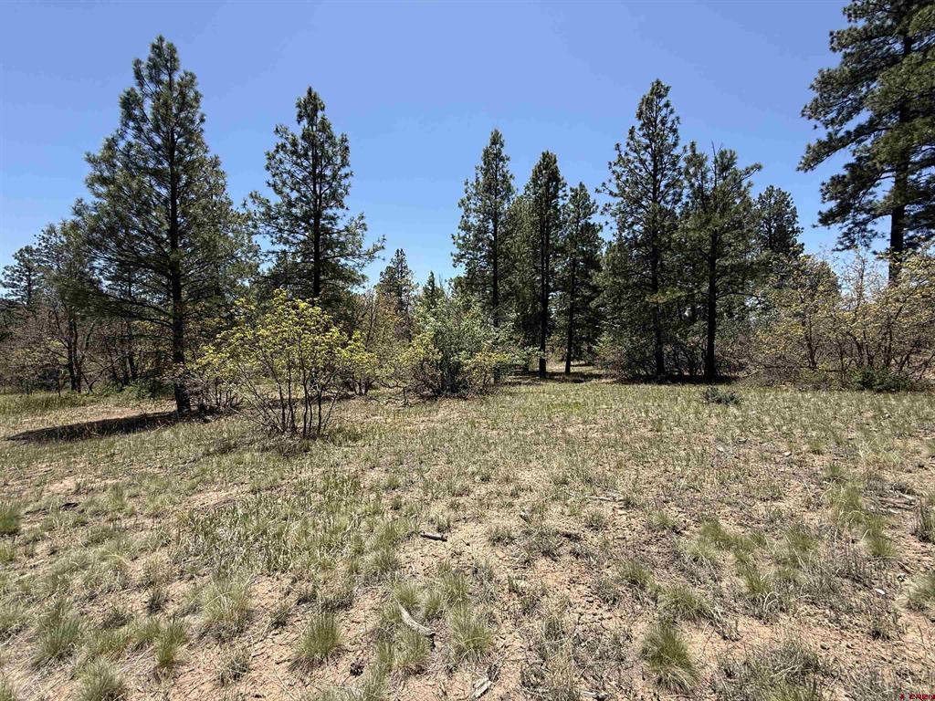 Tbd Edgemont Highlands Drive Property Photo 4