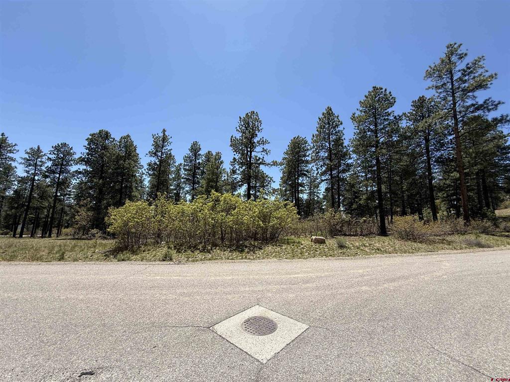 Tbd Edgemont Highlands Drive Property Photo 6
