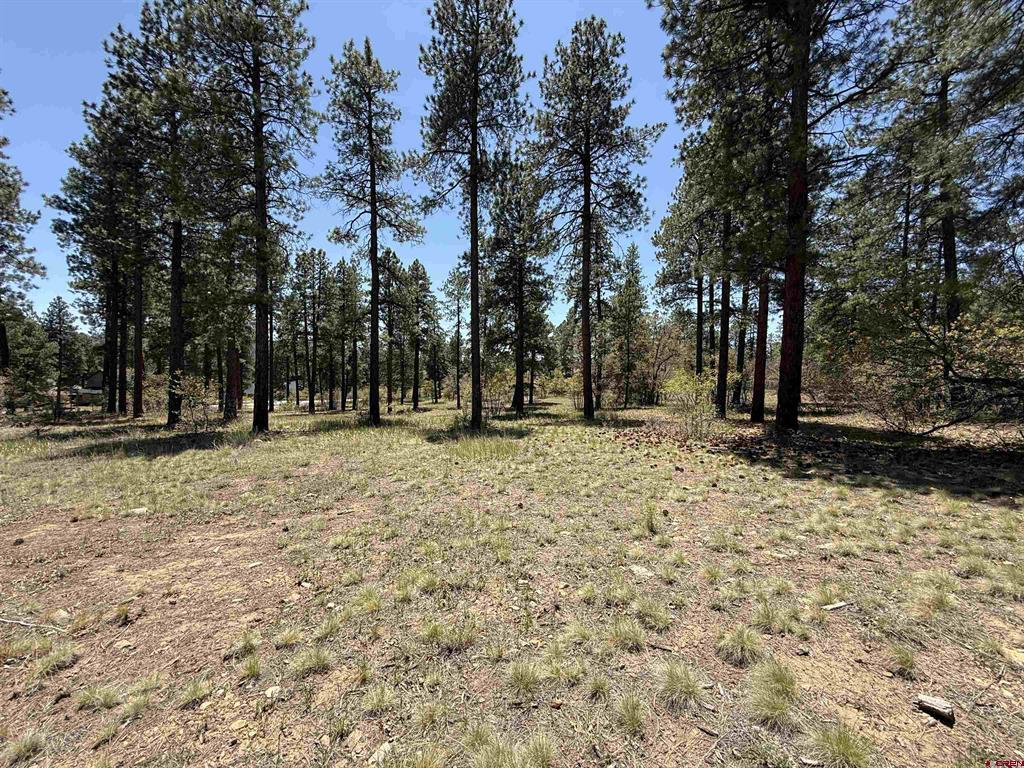Tbd Edgemont Highlands Drive Property Photo 7