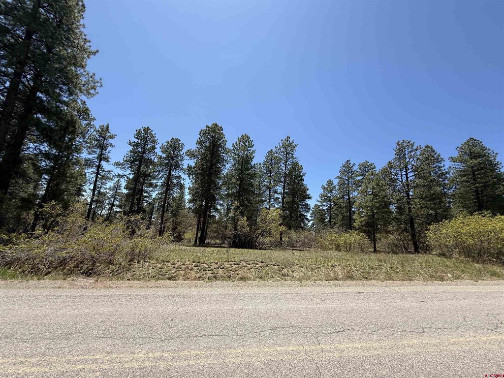 Tbd Edgemont Highlands Drive Property Photo 8
