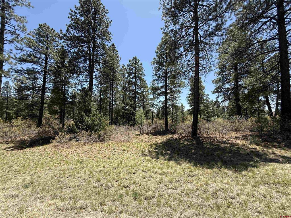 Tbd Edgemont Highlands Drive Property Photo 10