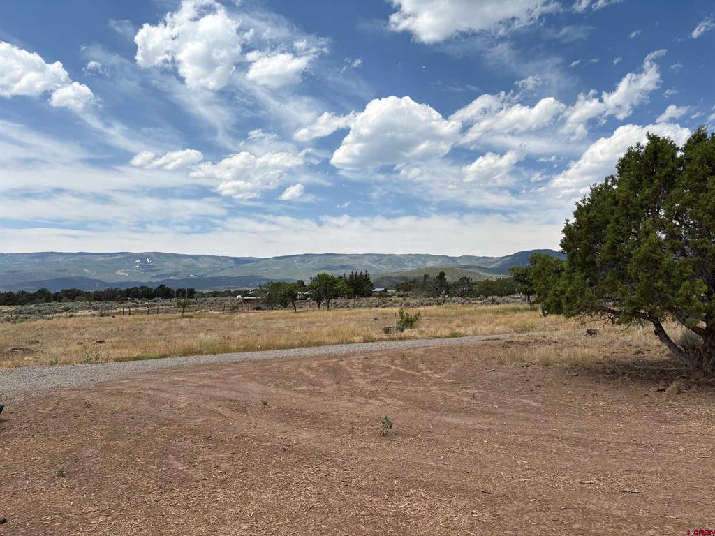 24500 Timothy Road Property Photo 32