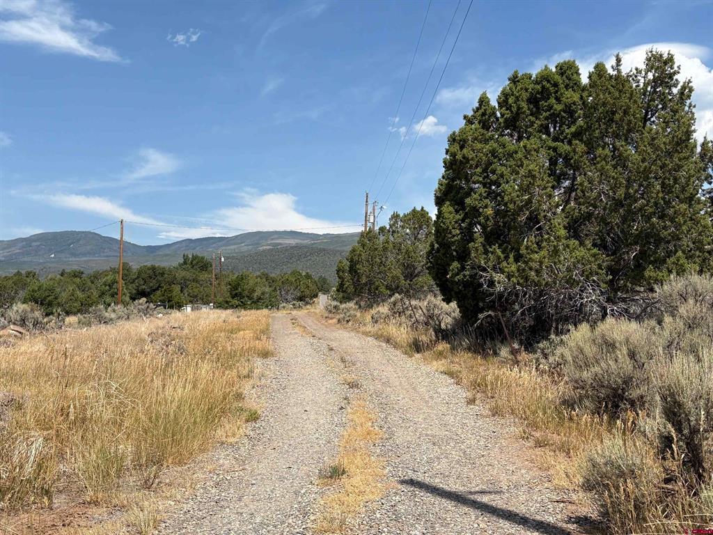 24500 Timothy Road Property Photo 33