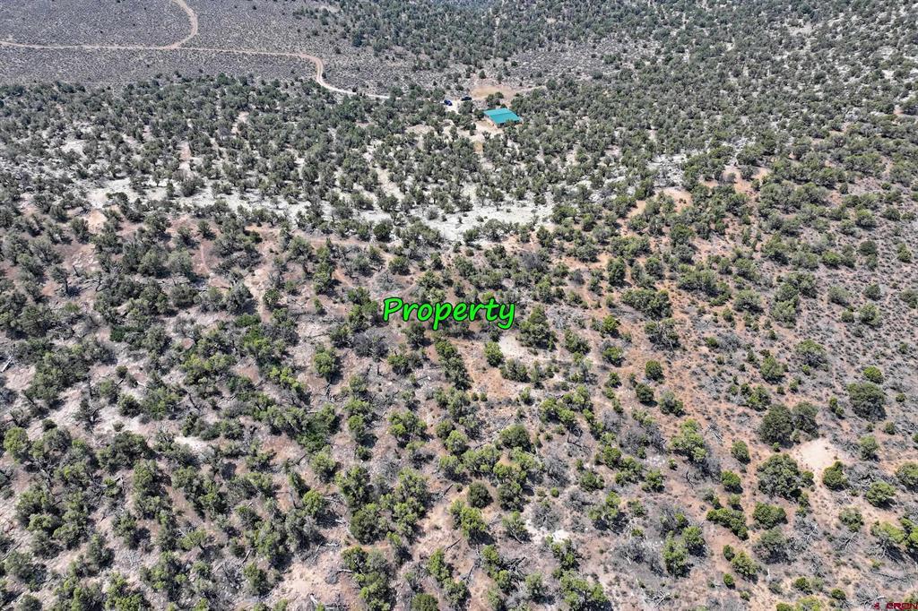 1775 35 1/10 Road Property Photo 13