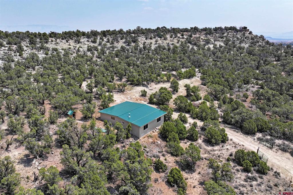 1775 35 1/10 Road Property Photo 15