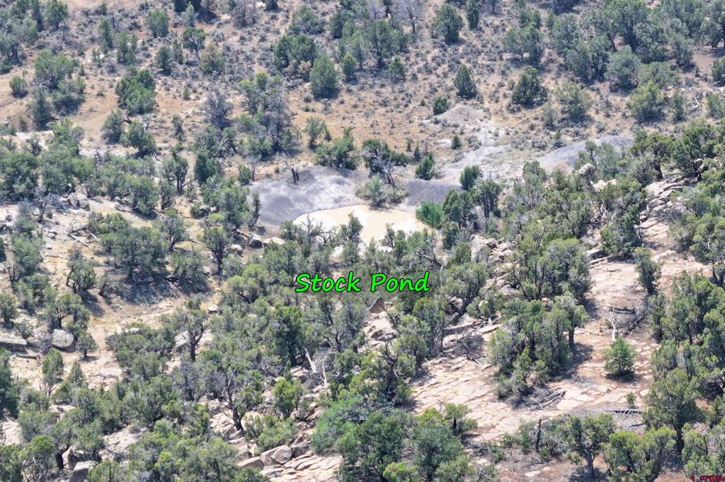 1775 35 1/10 Road Property Photo 20