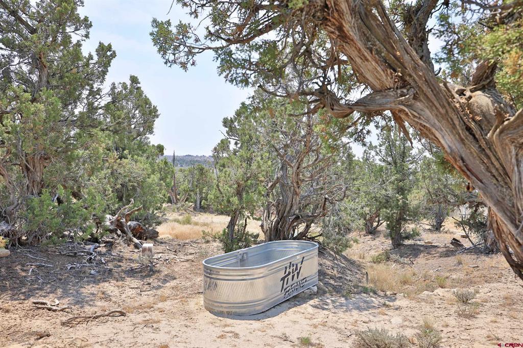 1775 35 1/10 Road Property Photo 33