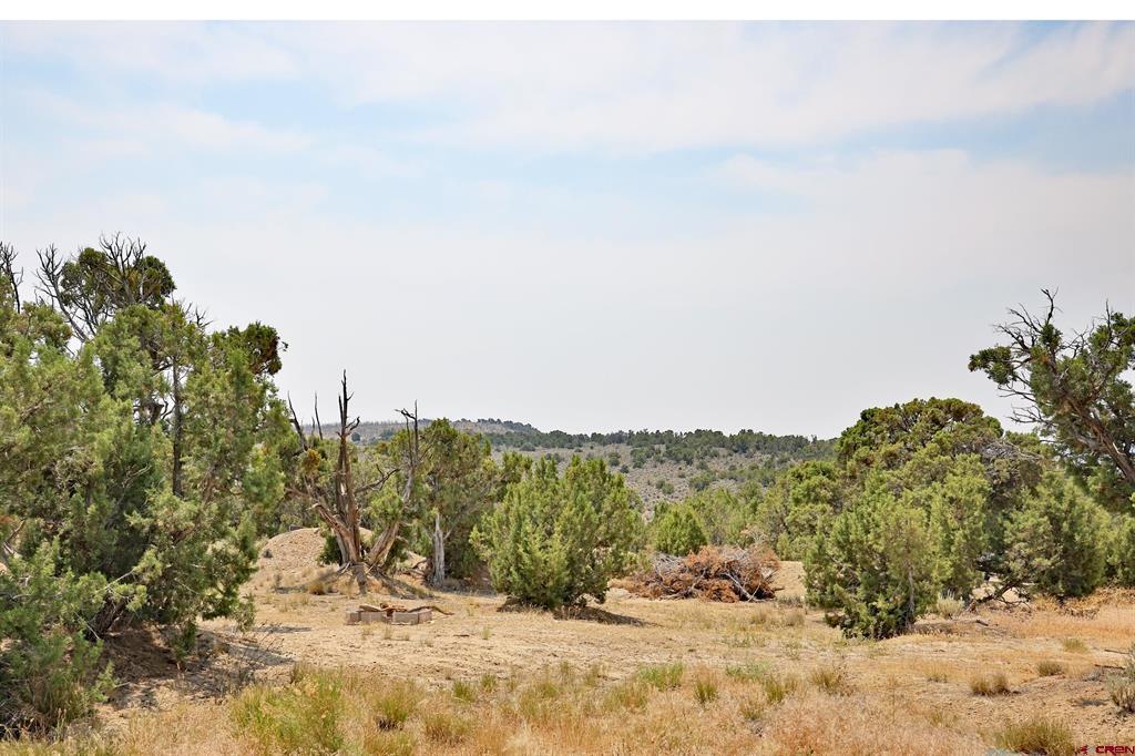 1775 35 1/10 Road Property Photo 36