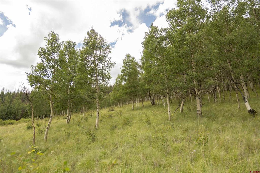 1001 Cr 17 Property Photo 28