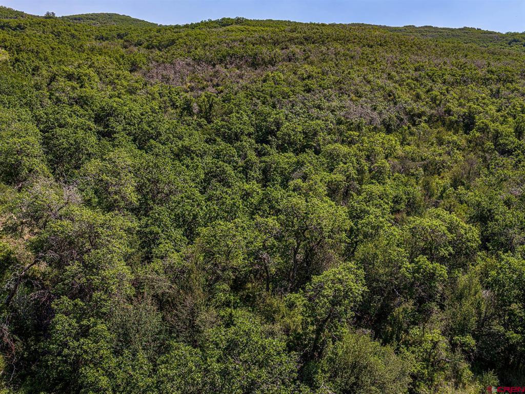 Tbd Johnson Road Property Photo 4