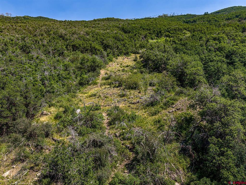 Tbd Johnson Road Property Photo 5