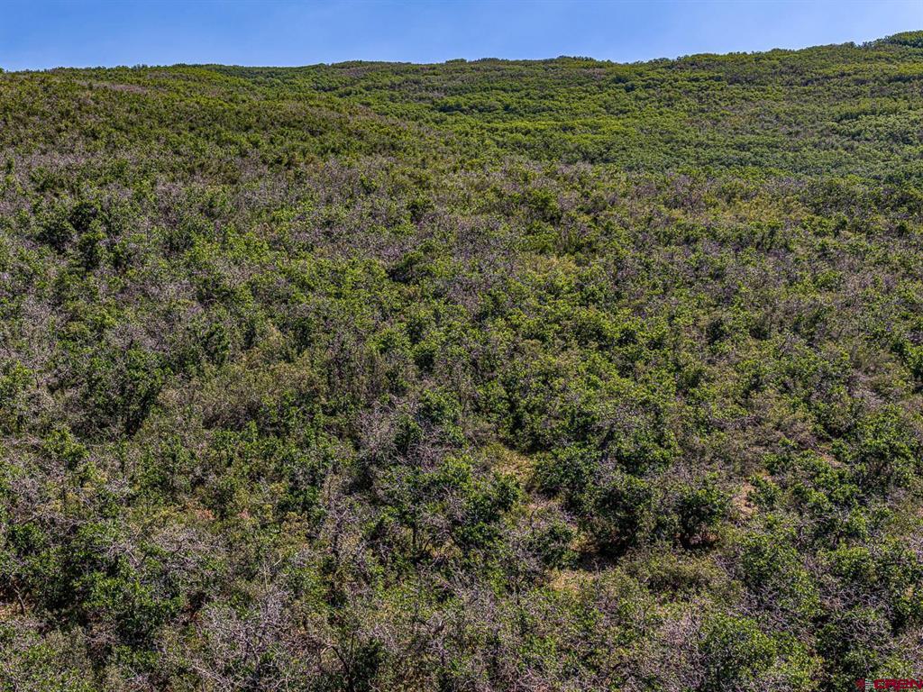 Tbd Johnson Road Property Photo 7