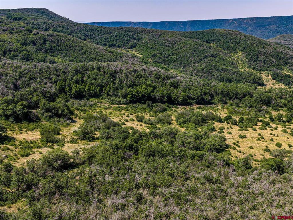 Tbd Johnson Road Property Photo 8