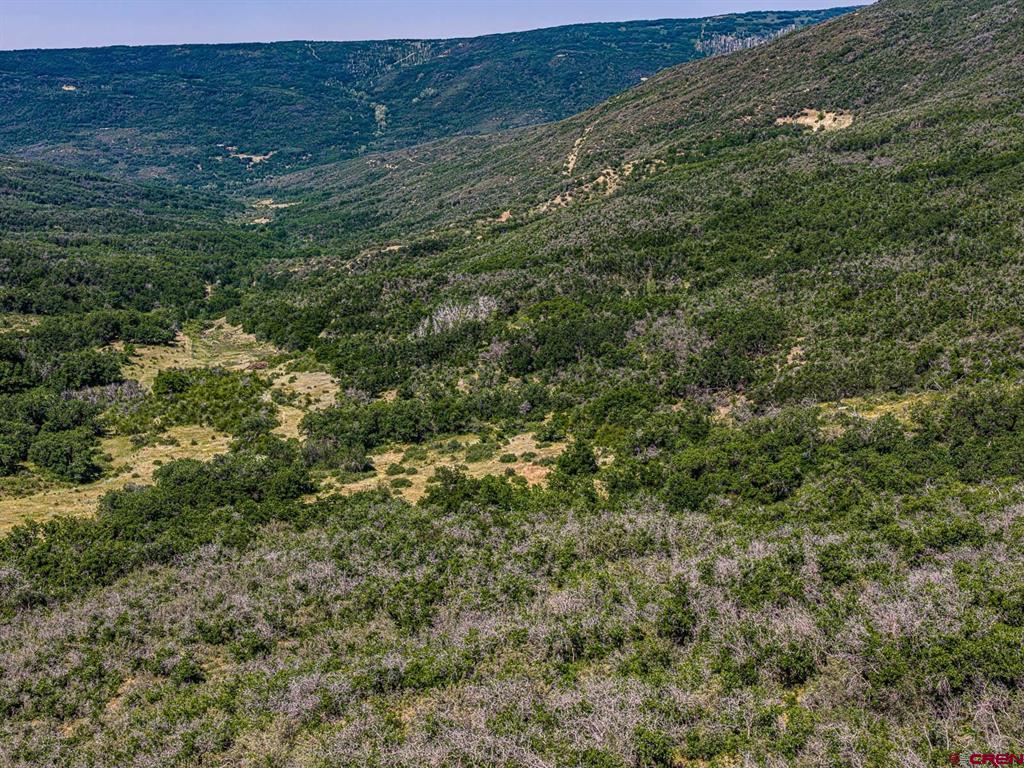 Tbd Johnson Road Property Photo 9