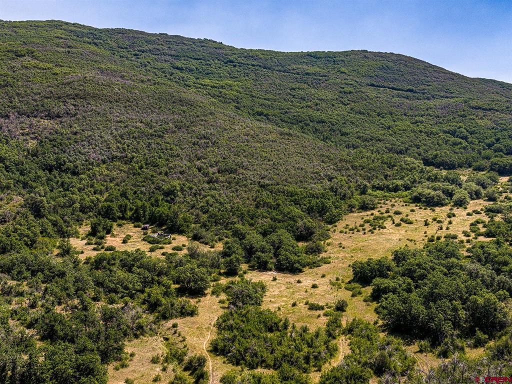 Tbd Johnson Road Property Photo 17