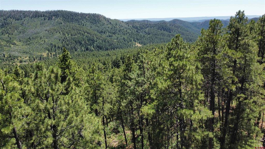 166 Jackalope Drive Property Photo 5