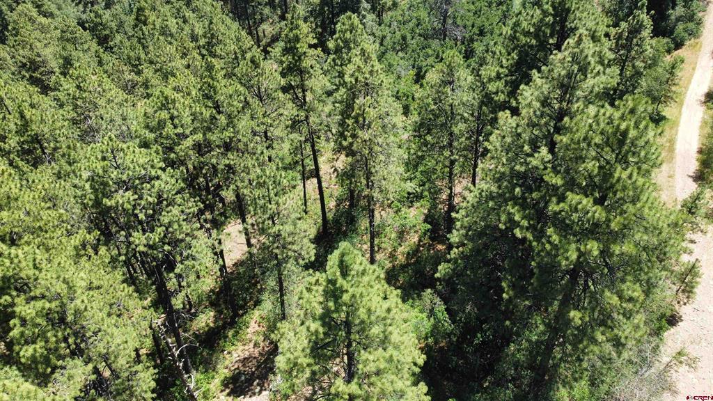 166 Jackalope Drive Property Photo 6